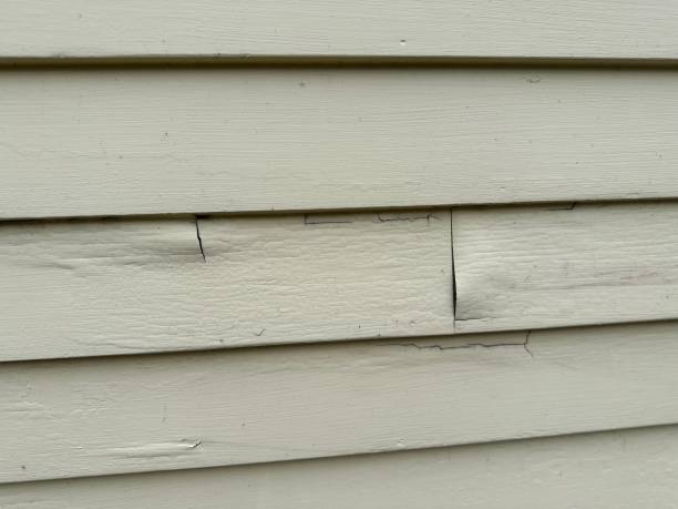 Best Property Management Cleanouts  in New Sarpy, LA